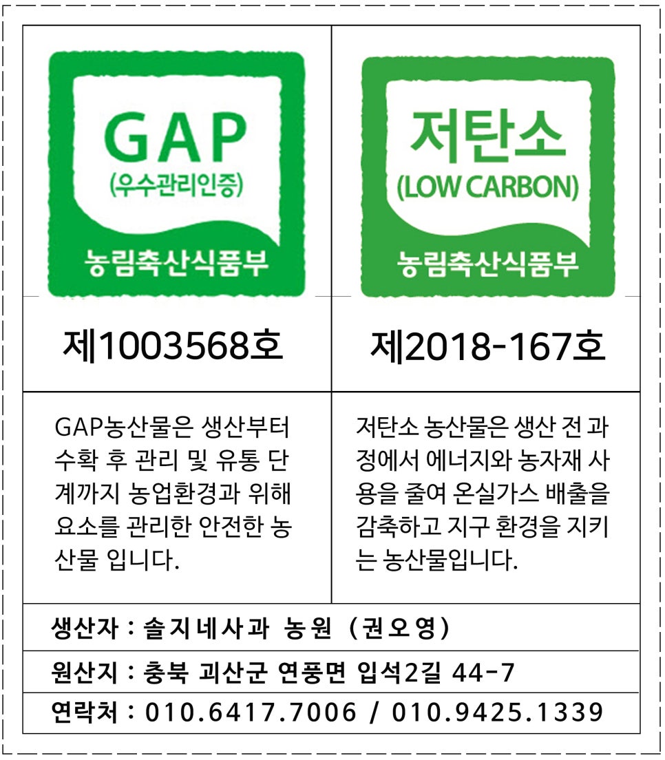 솔지네 이미지