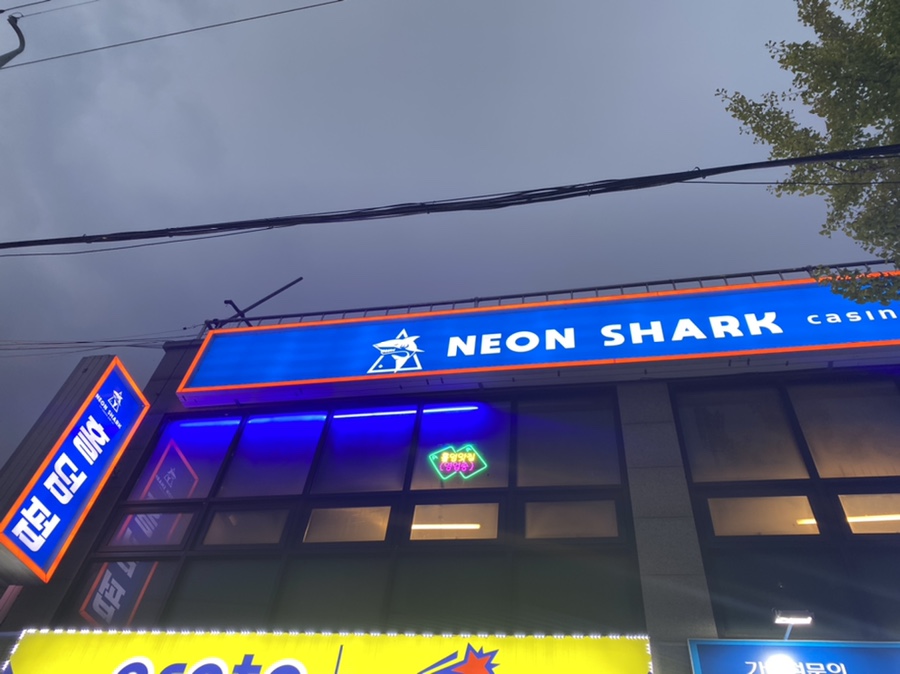 샤크홀덤 이미지