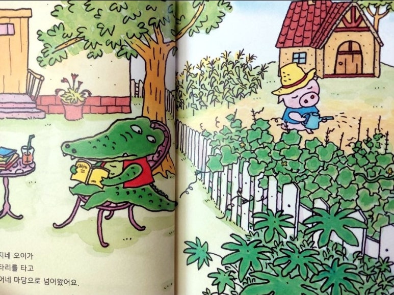 돼지네울타리 이미지