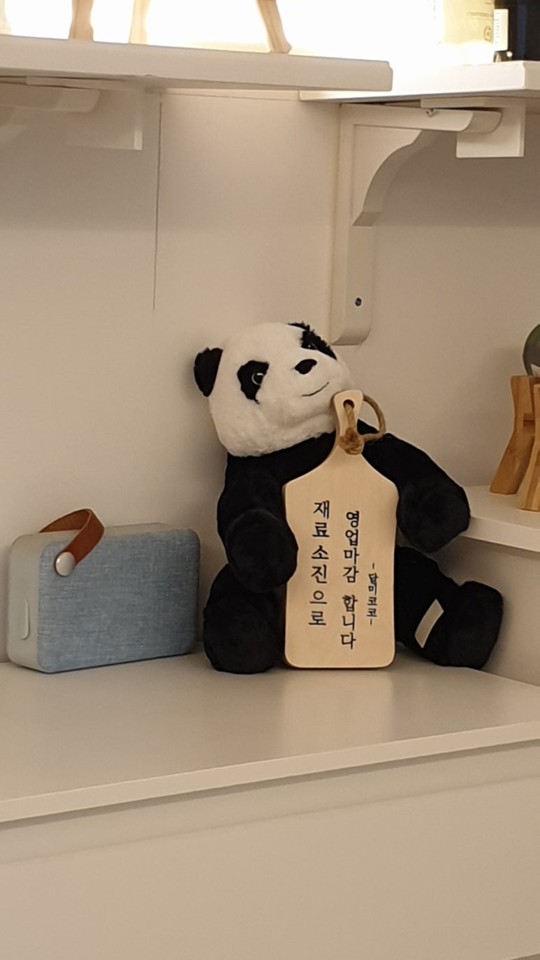 달미코코 이미지