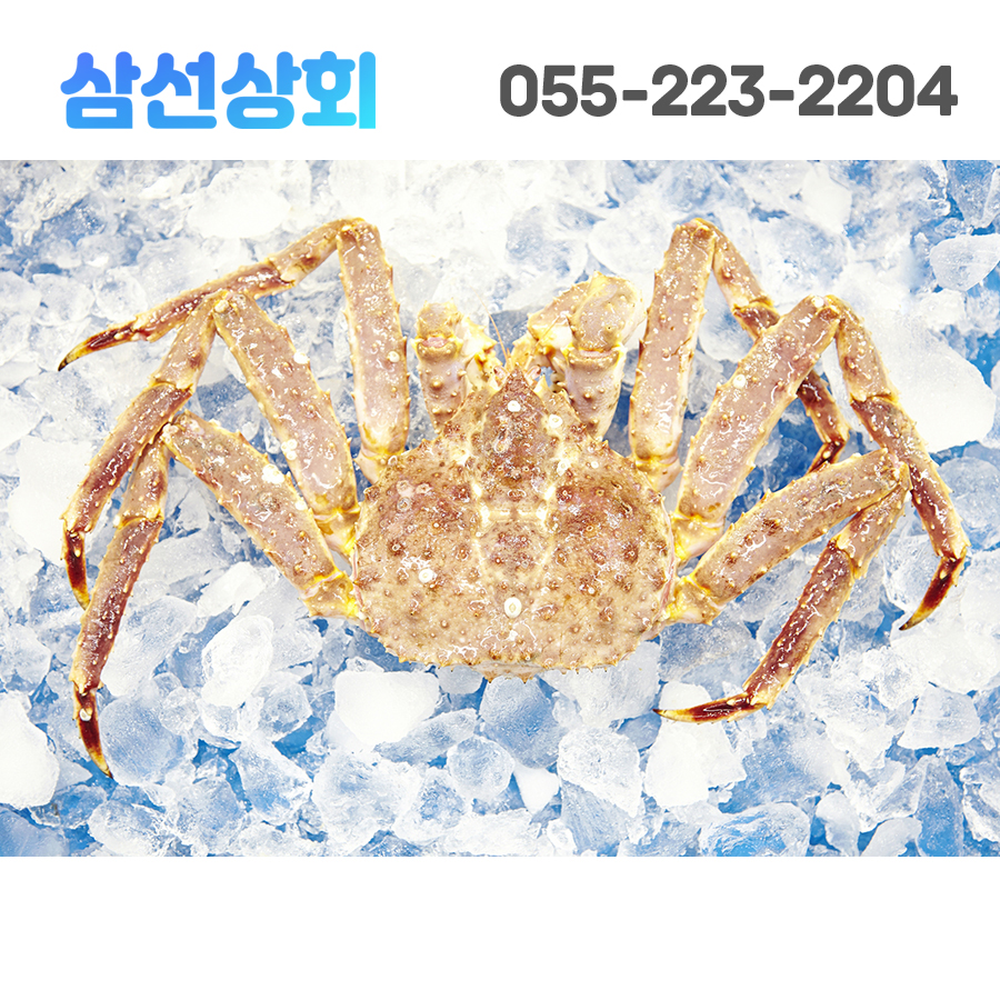 삼선어패류 이미지