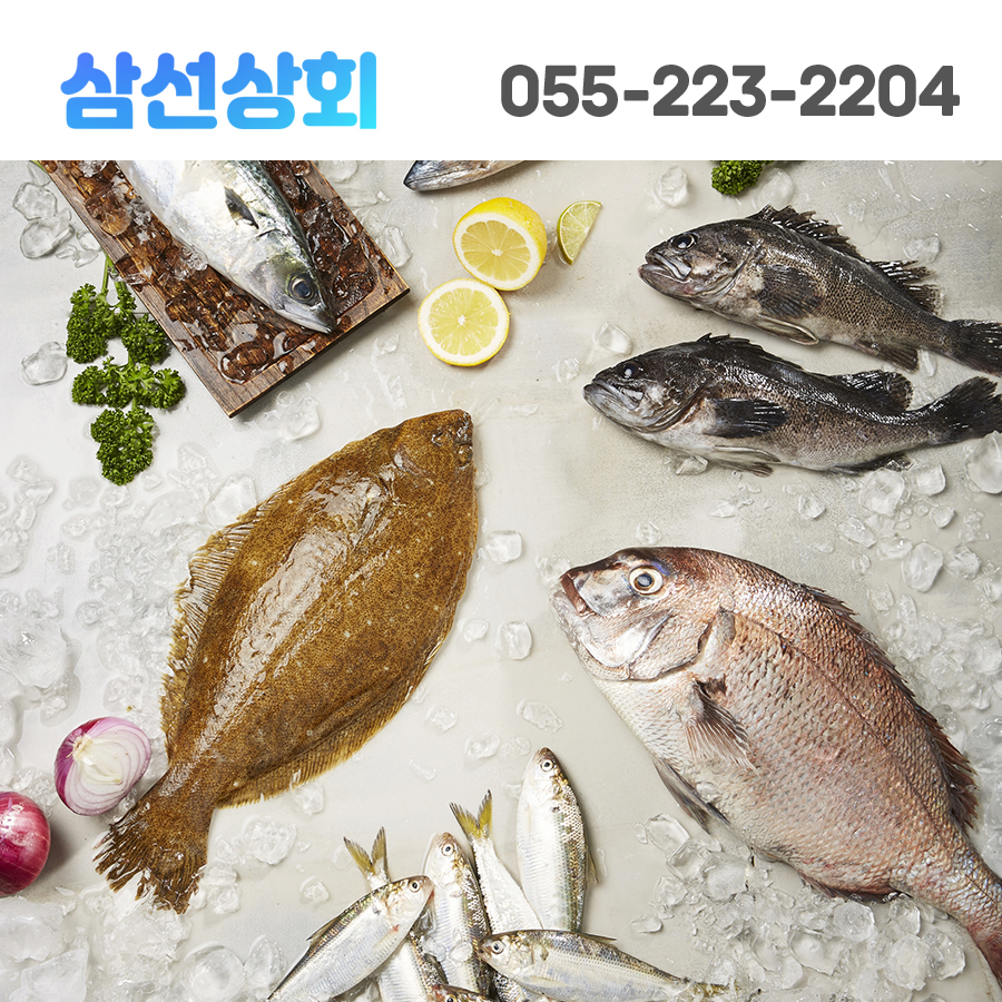 삼선어패류 이미지