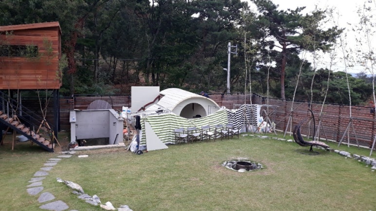 자작나무책방 이미지