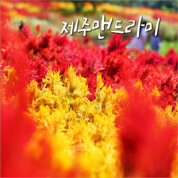 종원기술 이미지