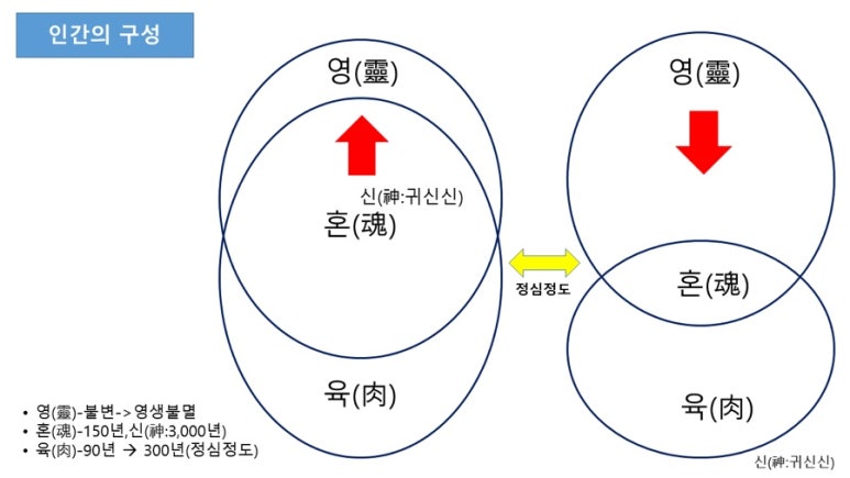 영과육 이미지