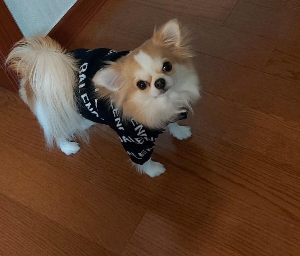 숙이네미용실 이미지