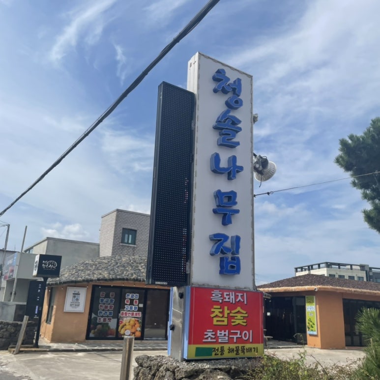 타코in제주 이미지