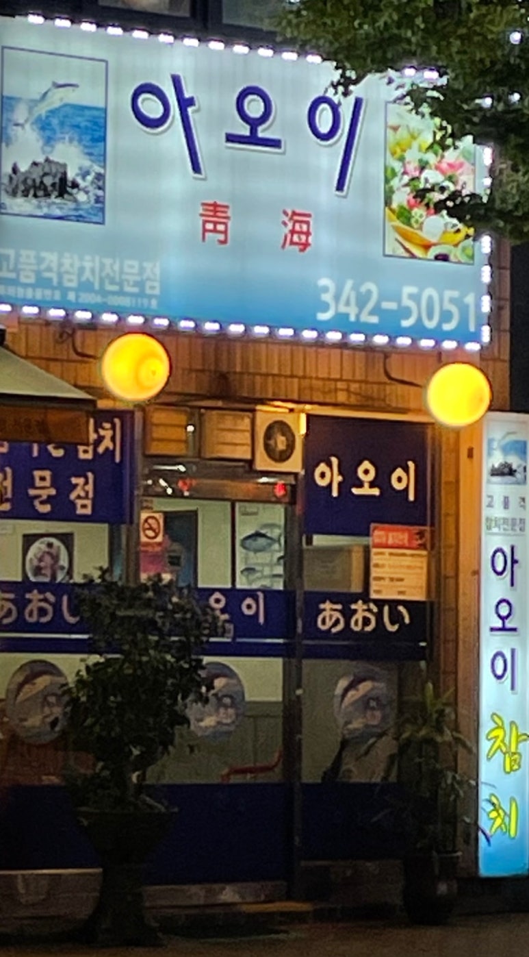아오이참치 이미지