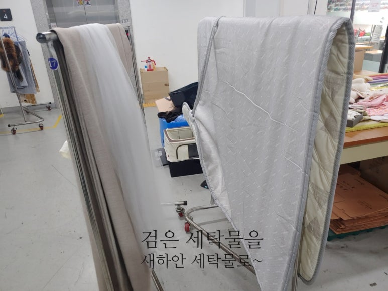 그린특수세탁 이미지