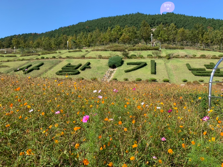 홍반장반점 이미지