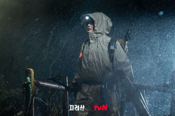 지리산풀잎 이미지