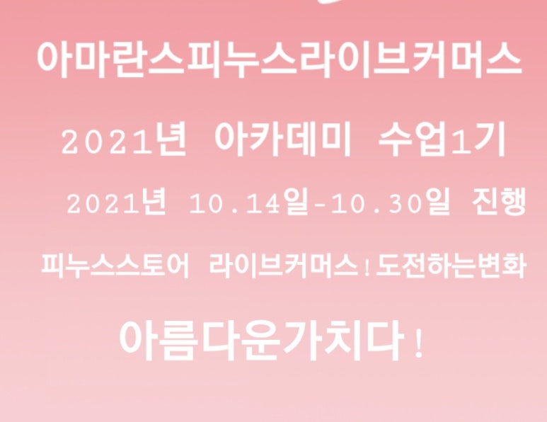 피누스스토어온새미로 이미지