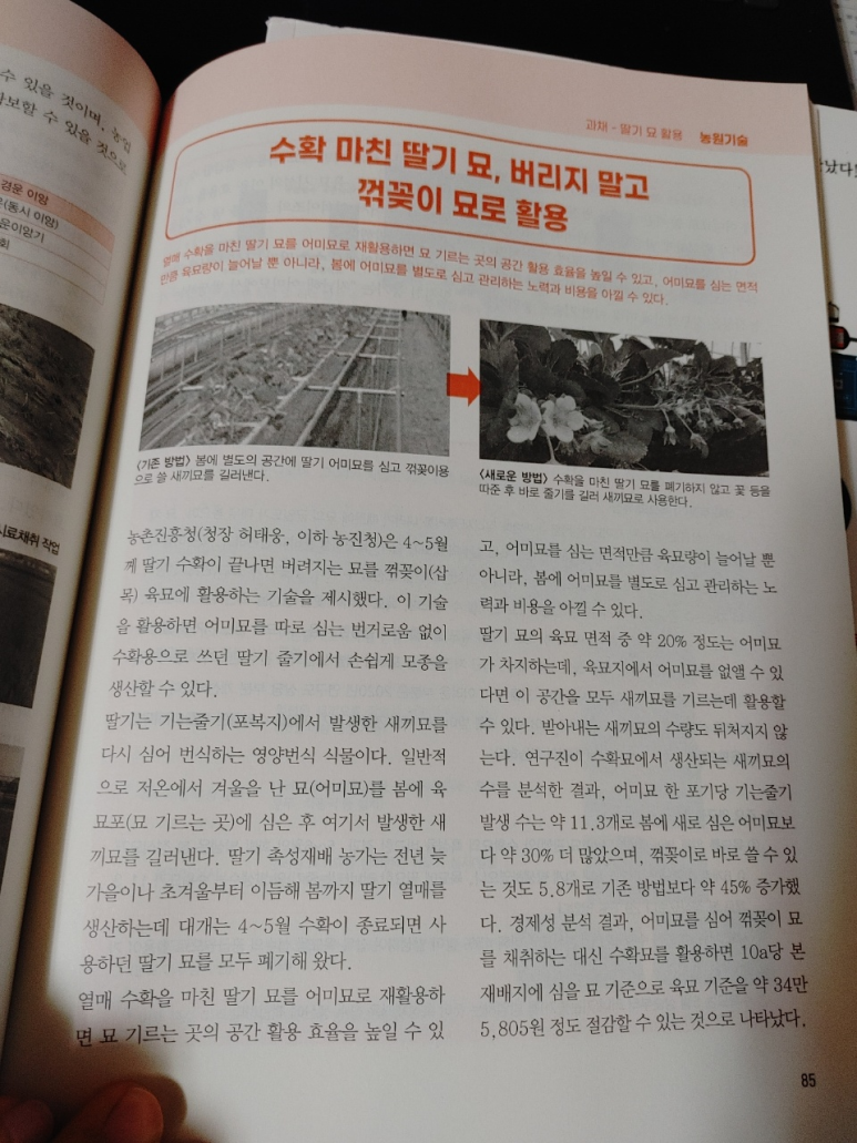 엠에스농장 이미지