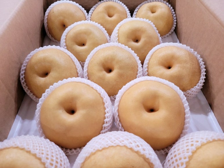 진여수산 이미지