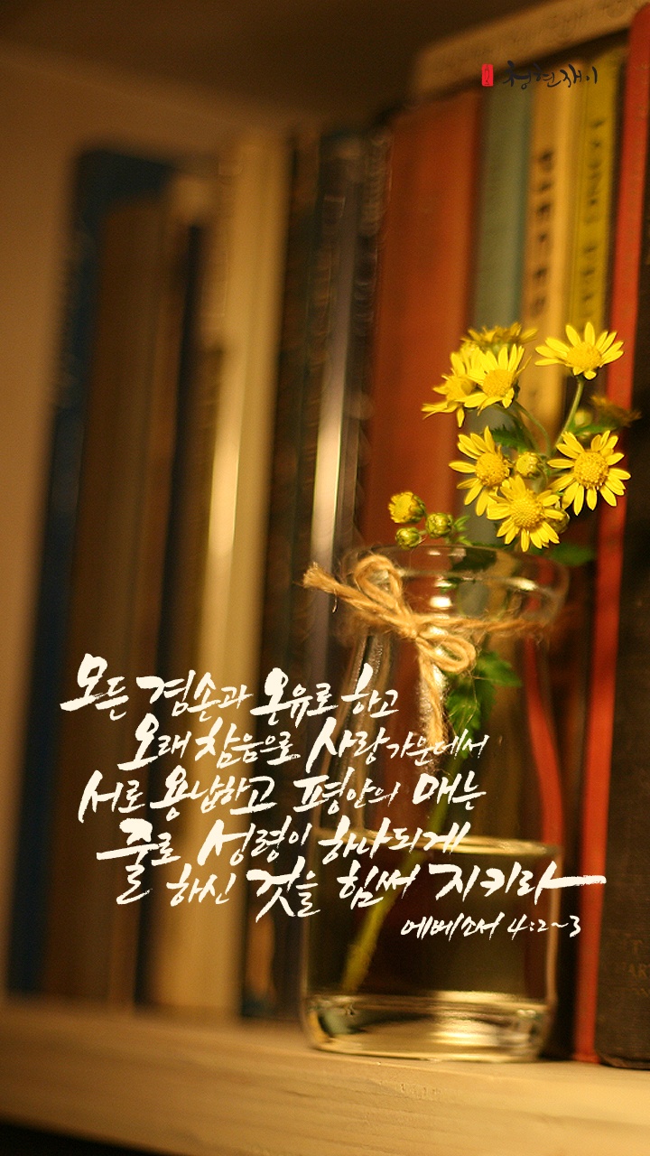 뉴포트 이미지