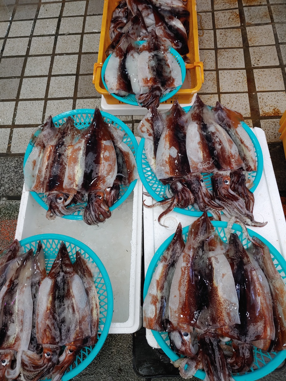 동해황기족발 이미지