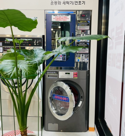 신발운동화이불크리닝 이미지