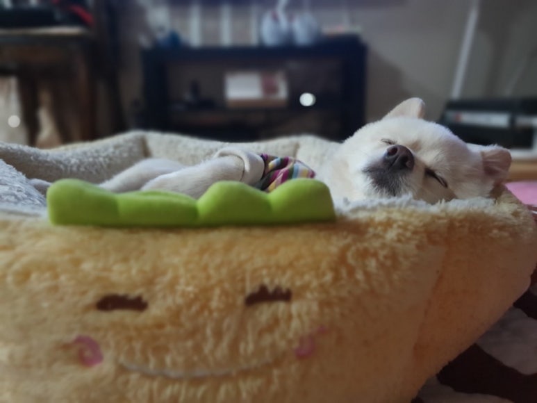 울산전기조명전업사 이미지