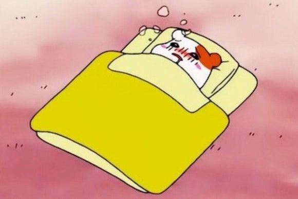 팀타이거짐 이미지
