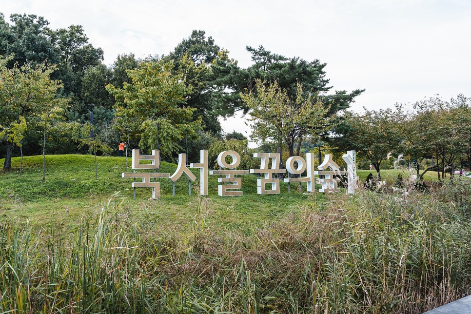 북서울꿈의숲 유아숲체험원 이미지