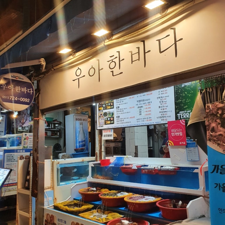 시노베코리아 이미지