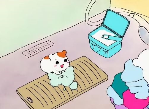 펭귄세탁 이미지