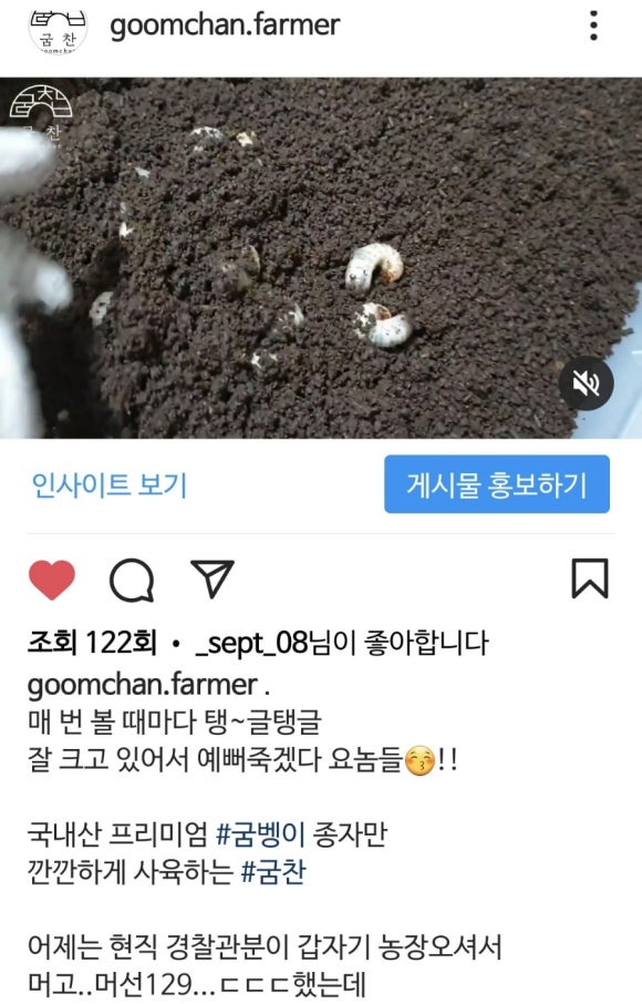 굼찬농장 이미지