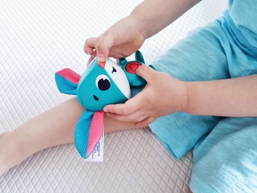 원더버디 이미지