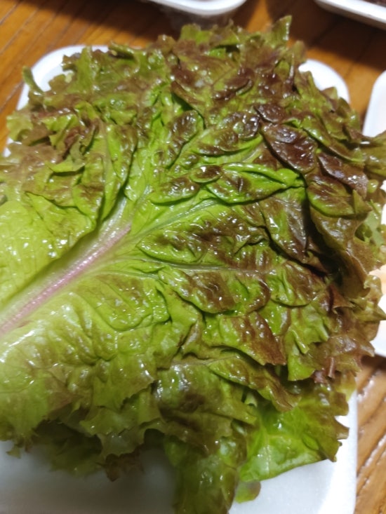 운천족발 이미지