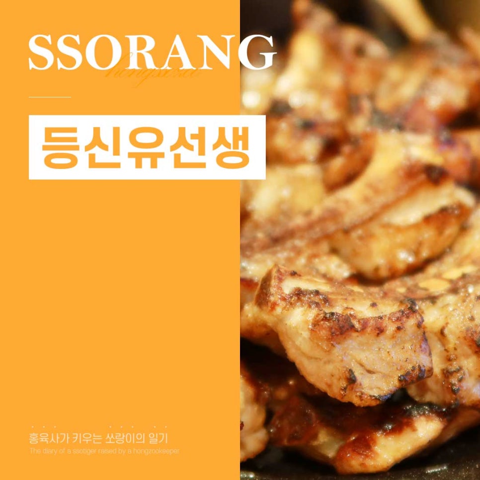 등신유선생 이미지