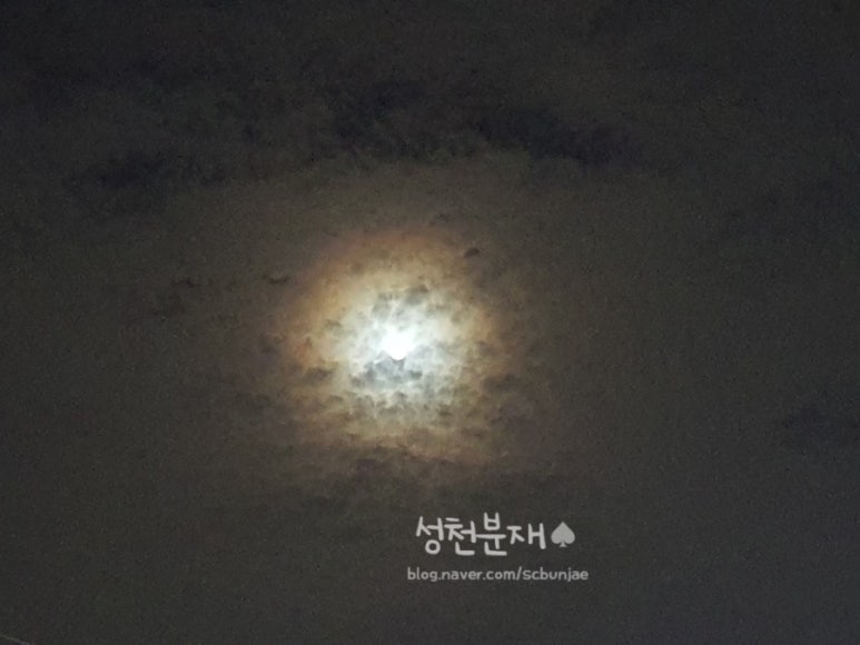 성천분재 이미지