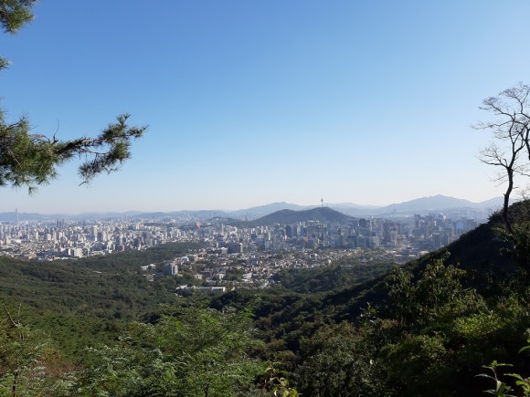 동숭숯불갈비 이미지