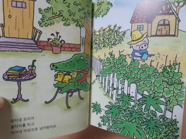 돼지네울타리 이미지