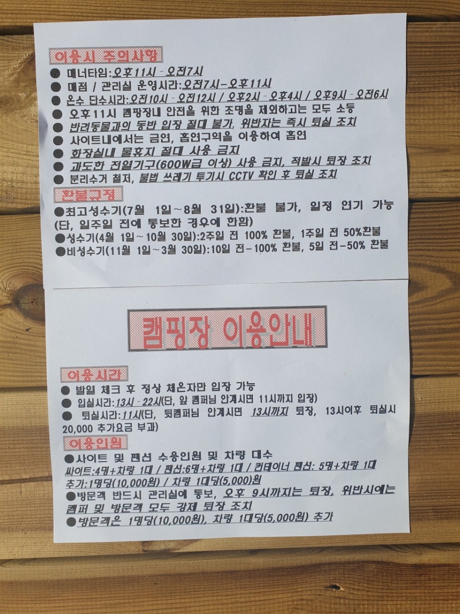 여울애꽃물들인 이미지