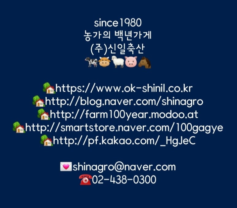 블랙코번 이미지