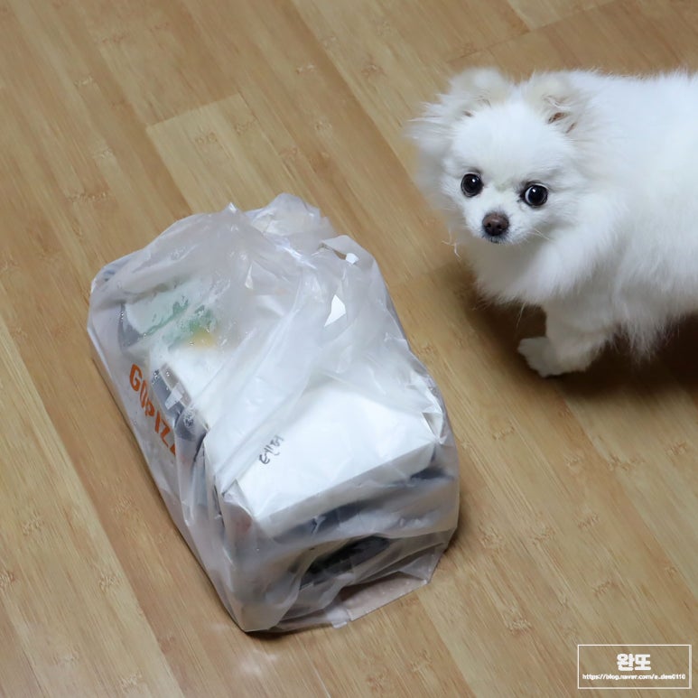 고피자 서울대점 이미지