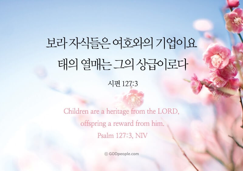 와이즈비젼 이미지
