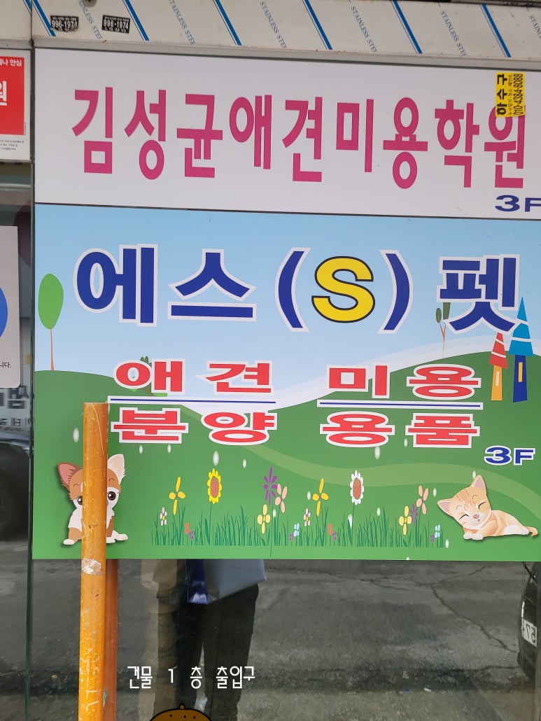 김성균애견미용학원 이미지