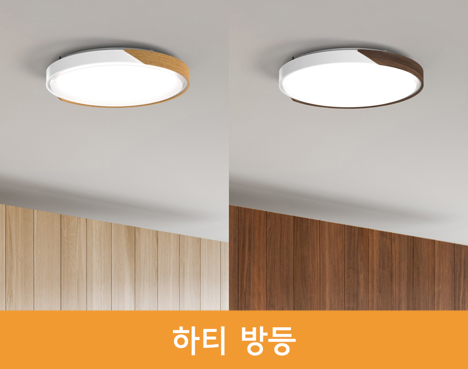 하티바디 이미지