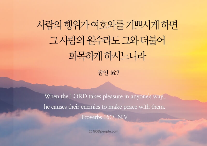 베풀장 이미지