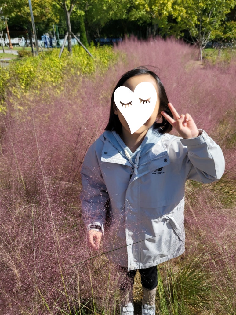와룡(아래)공원 이미지
