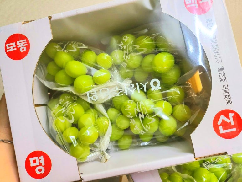 백화협동조합 이미지