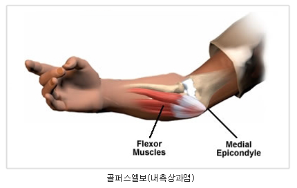 골프선수촌 이미지