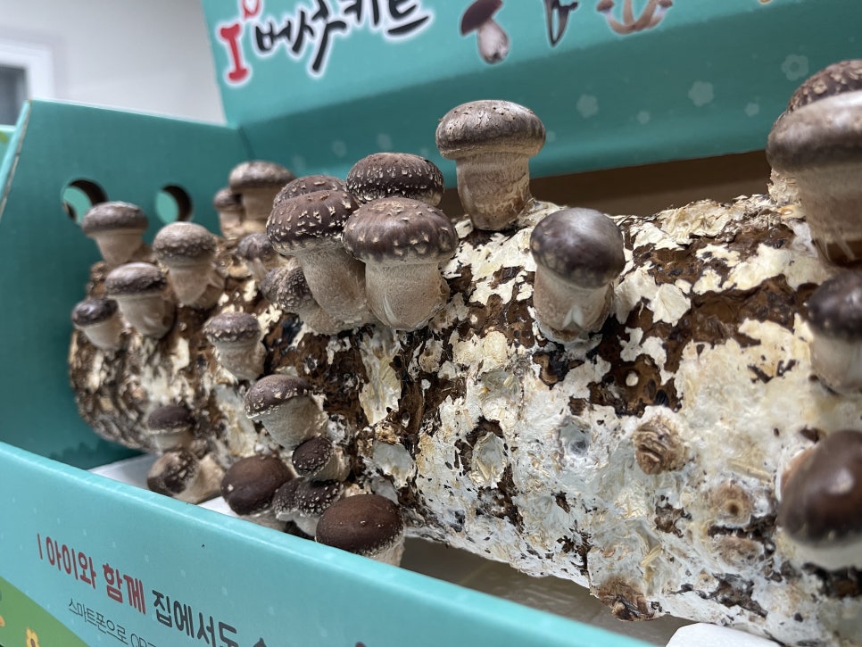 주식회사 채움기술 이미지