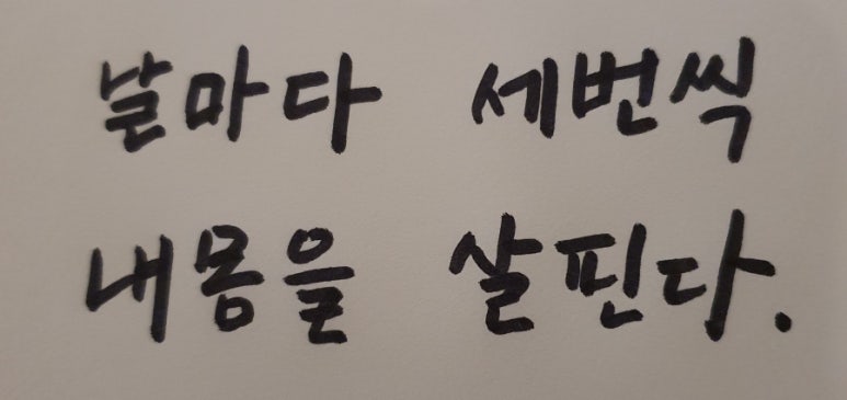 새통영다찌 이미지