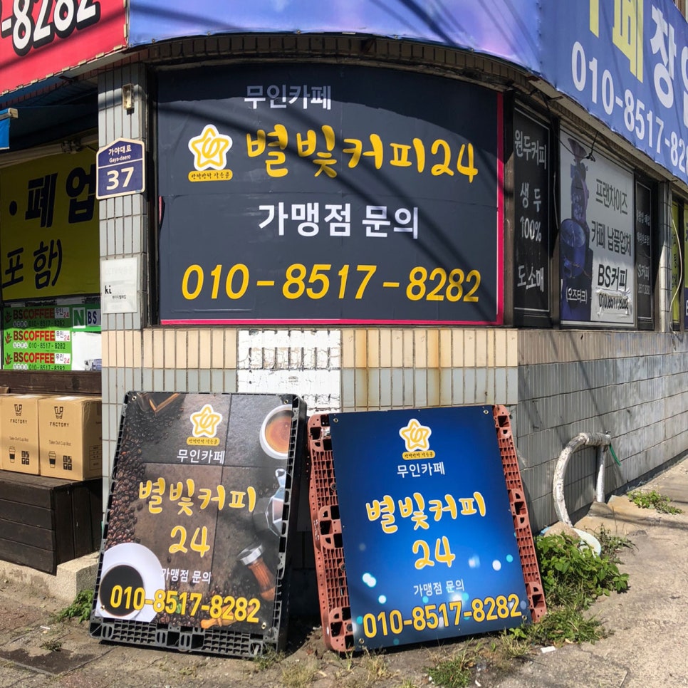 별빛카페24 이미지