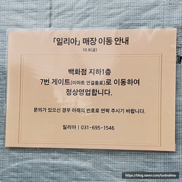 일리아플라워 이미지