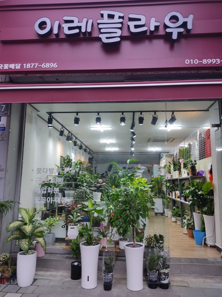 이레플라워 이미지