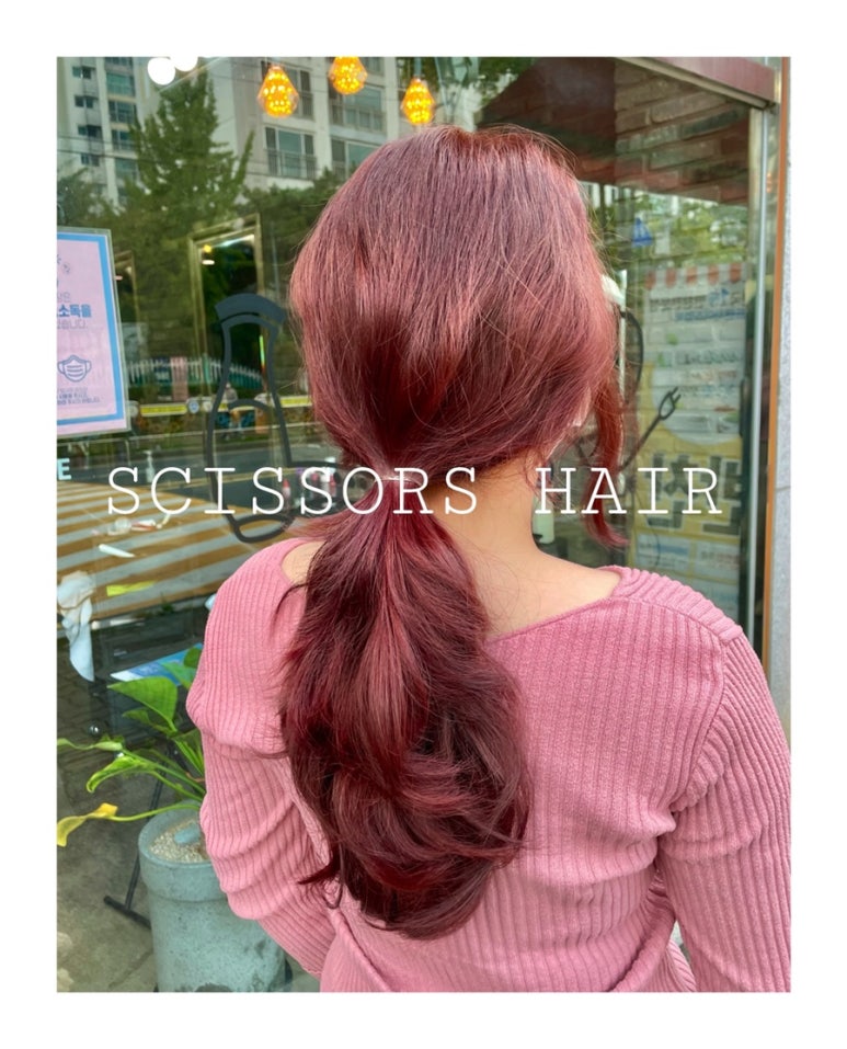시져스헤어 이미지