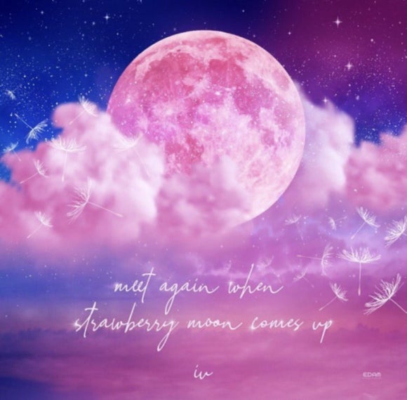 스트로우베리(strawberry) 이미지